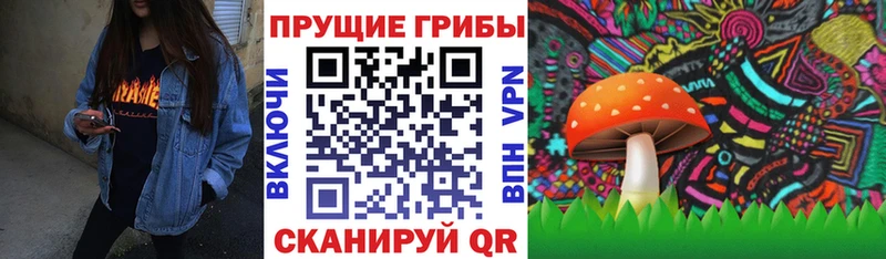 Псилоцибиновые грибы GOLDEN TEACHER  Козьмодемьянск 